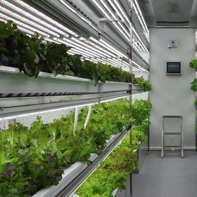 Contenitore per agricoltura verticale idroponica in serra commerciale