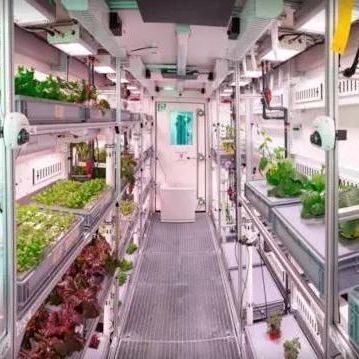 Contenitore per agricoltura verticale idroponica in serra commerciale