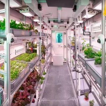 Serre per agricoltura verticale commerciale con sistema idroponico
