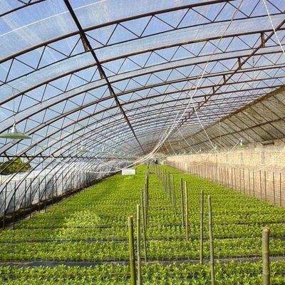 Serra per pomodori e cetrioli a riscaldamento temporaneo con controllo climatico e luce solare