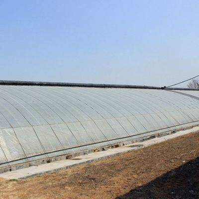 Struttura in acciaio/serra a luce solare con controllo dell'umidità delle pareti per la coltivazione di ortaggi