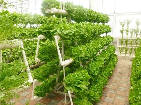 Serra per agricoltura a grande contenitore verticale con copertura in acciaio e tecnologia idroponica