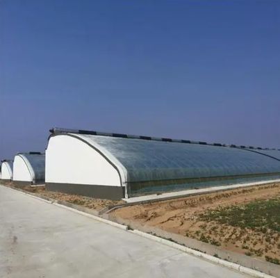 Juxiang Irrigazione automatizzata Serra a luce solare per verdure Ventilazione e ombra