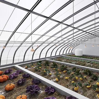 Juxiang Irrigazione automatizzata Serra a luce solare per verdure Ventilazione e ombra