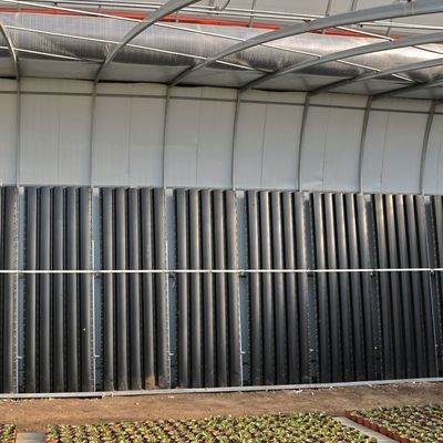 Juxiang Irrigazione automatizzata Serra a luce solare per verdure Ventilazione e ombra