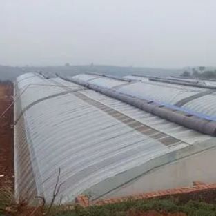 Juxiang Irrigazione automatizzata Serra a luce solare per verdure Ventilazione e ombra