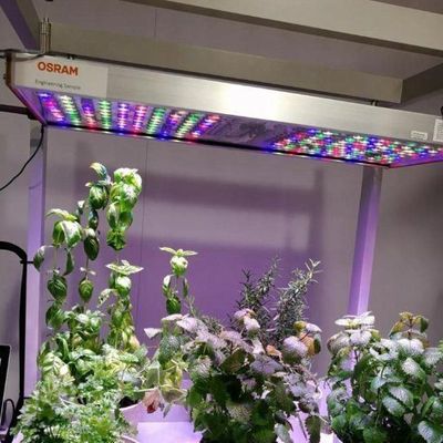 Serra commerciale versatile per l'agricoltura verticale idroponica in container di trasporto