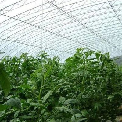 Sistema d'irrigazione Inserimento solare per ortaggi Dieta e riscaldamento temporaneo