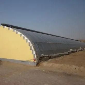 Serra a doppio strato e tetto ad arco per la coltivazione di pomodori