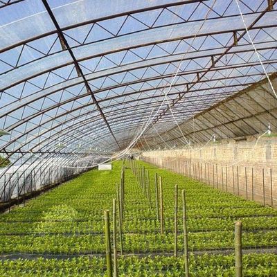 Serra a doppio strato per la coltivazione di ortaggi e la produttività temporanea del riscaldamento