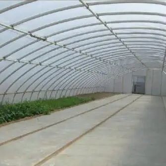 Serra solare per vegetali avanzata con controllo di umidità e crescita ottimale delle piante