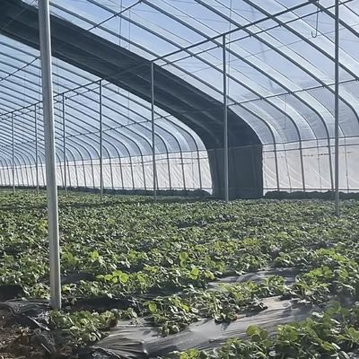 Serra solare per vegetali avanzata con controllo di umidità e crescita ottimale delle piante