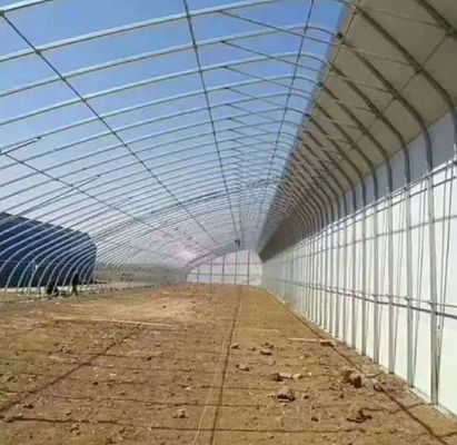 Serra solare per vegetali avanzata con controllo di umidità e crescita ottimale delle piante