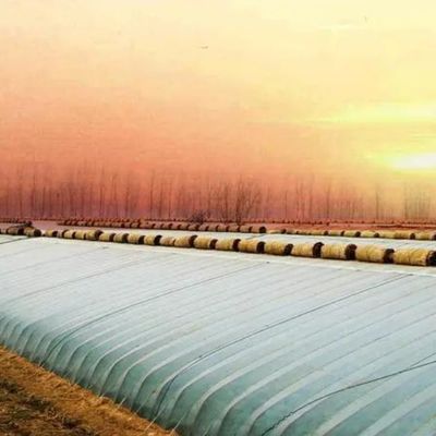 Pacchetto Peso lordo 2000.000kg Serra leggera a luce solare per la coltivazione di ortaggi