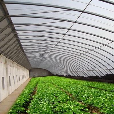 Pacchetto Peso lordo 2000.000kg Serra leggera a luce solare per la coltivazione di ortaggi