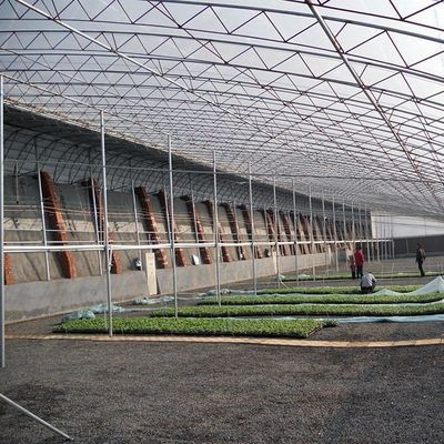 1209.00cm * 235.00cm * 239.00cm Tomato e cetriolo piantare serra a luce solare per il vostro