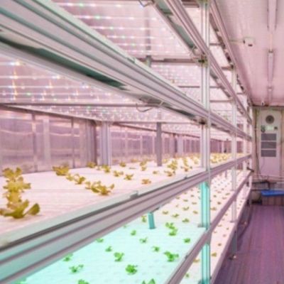 Serra per agricoltura verticale con innovazione idroponica in moneta statunitense