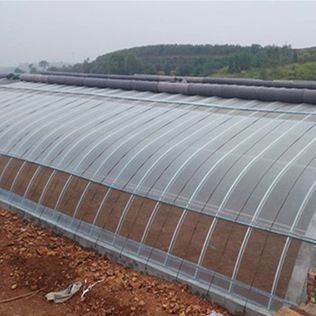 1209cm * 235cm * 239cm Serra a pellicola per l'ombra e la ventilazione della piantagione di pomodori