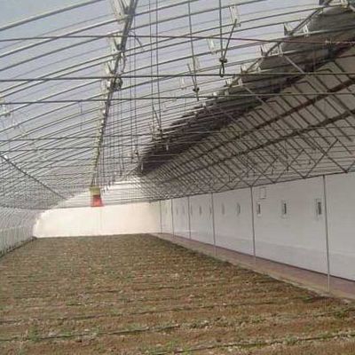 1209cm * 235cm * 239cm Serra a pellicola per l'ombra e la ventilazione della piantagione di pomodori