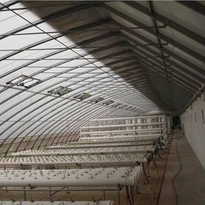 1209cm * 235cm * 239cm Serra a pellicola per l'ombra e la ventilazione della piantagione di pomodori