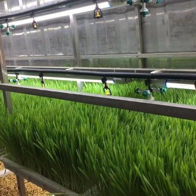 Container per agricoltura verticale