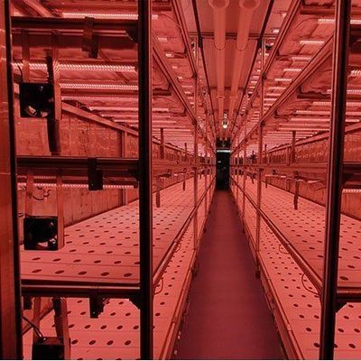 Alte umidità Agricoltura verticale Serra idroponica per ortaggi