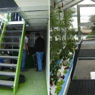 Alte umidità Agricoltura verticale Serra idroponica per ortaggi