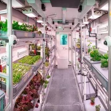 Serre a contenitori multi-span per i vantaggi del sistema idroponico e dell'agricoltura verticale