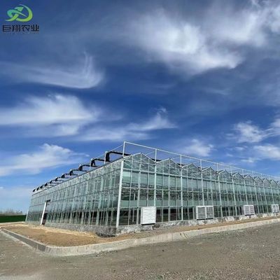 Serre con tetto di vetro ad arco con sistema idroponico
