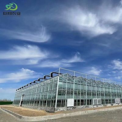 Sistema di irrigazione automatico a doppio strato di vetro JX per ortaggi/fiori/frutti