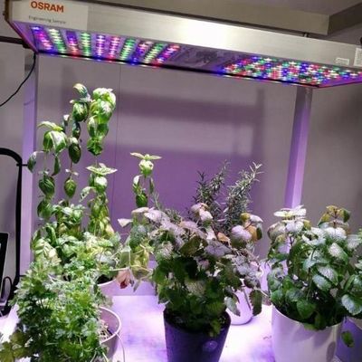 Container di trasporto agricoltura verticale serra commerciale con innovazione idroponica
