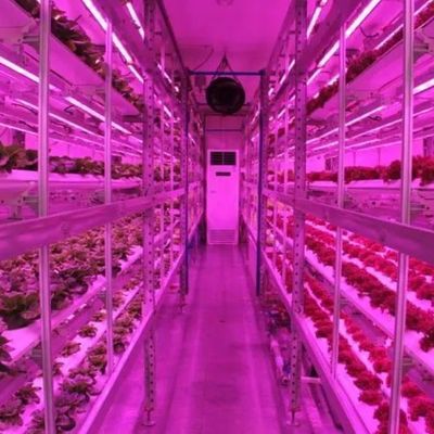 Container di trasporto agricoltura verticale serra commerciale con innovazione idroponica