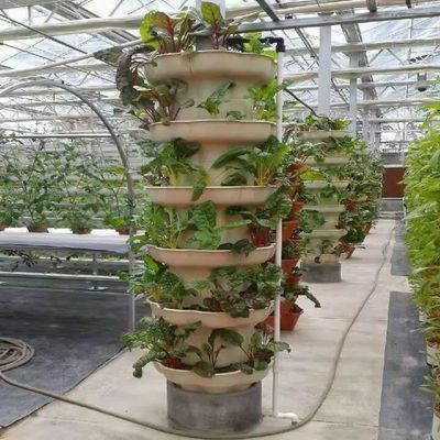 Contenitore agricolo verticale serra in 40HQ Reefer con contenitore idroponico