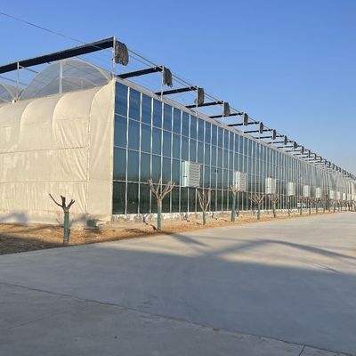 Sistema idroponico a doppio strato serra a film in alto tunnel con opzione di personalizzazione