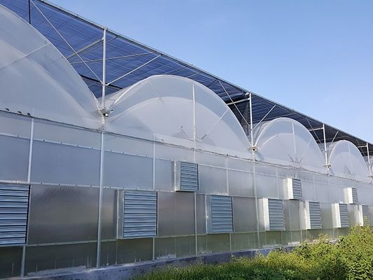 Serra per coltivazione idroponica coperta con foglio di plastica e progettazione a singolo tratto