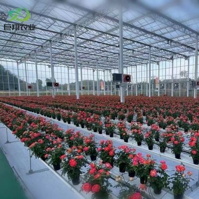 Personalizzazione della serra Juxiang Personalizzabile pellicola commerciale e vetro serra