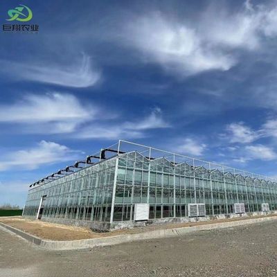 Personalizzazione della serra Juxiang Personalizzabile pellicola commerciale e vetro serra