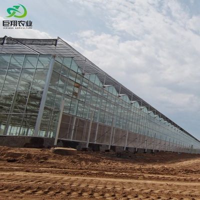 Personalizzazione della serra Juxiang Personalizzabile pellicola commerciale e vetro serra