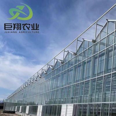 Personalizzazione della serra Juxiang Personalizzabile pellicola commerciale e vetro serra