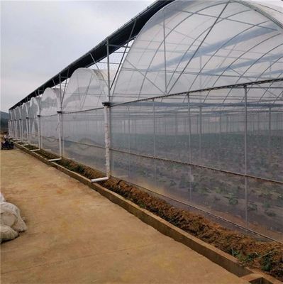 Sistema idroponico multi-span per la produzione di pellicole per serre per aziende agricole Peso lordo 2000.000kg