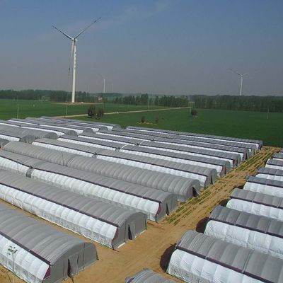 Sistema idroponico multi-span per la produzione di pellicole per serre per aziende agricole Peso lordo 2000.000kg