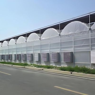 Sistema idroponico multi-span per la produzione di pellicole per serre per aziende agricole Peso lordo 2000.000kg