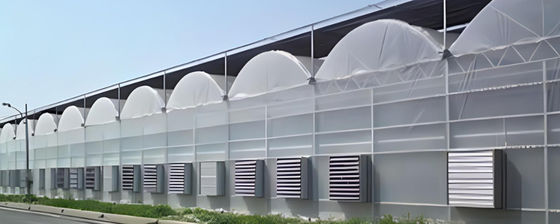 Serra a doppio strato pomodoro cetriolo fiori di pepe con riscaldamento temporaneo