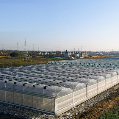 Serra a doppio strato pomodoro cetriolo fiori di pepe con riscaldamento temporaneo