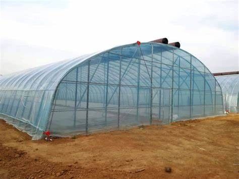 Serra a pellicola per aziende agricole idroponiche di Juxiang con struttura in acciaio e rimborsi di 30 giorni