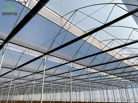 Serra a pellicola per aziende agricole idroponiche di Juxiang con struttura in acciaio e rimborsi di 30 giorni