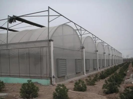 Struttura in acciaio Sistema di serra idroponica multi-span per un'agricoltura sostenibile