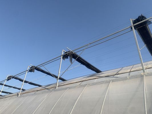 Sistema di serre a panella singola degli Stati Uniti per la coltivazione di ortaggi e fiori 30 giorni rimborso
