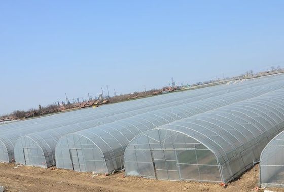 Sistema di serre a panella singola degli Stati Uniti per la coltivazione di ortaggi e fiori 30 giorni rimborso