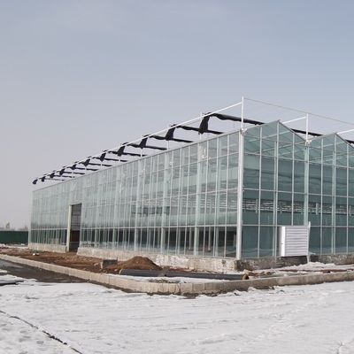 US 40/Piece Samples PC Side/Poly House e PE Roof Greenhouse per la coltivazione di ortaggi